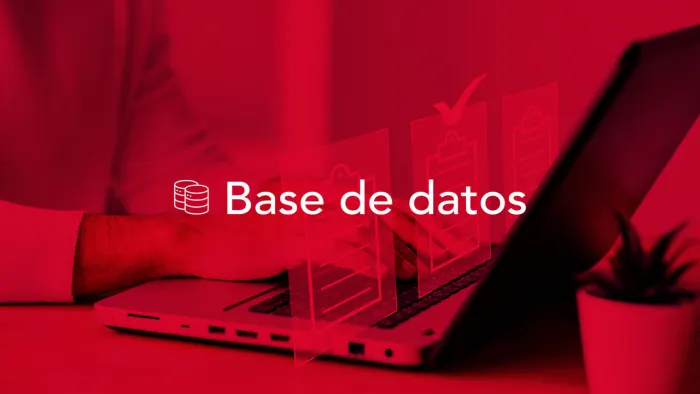 Microsoft - Base de Datos